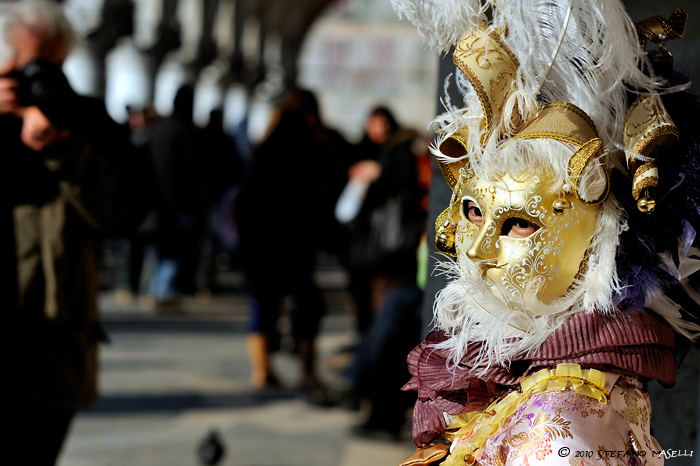 Copyright Stefano Maselli